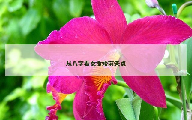 从八字看女命婚前失贞