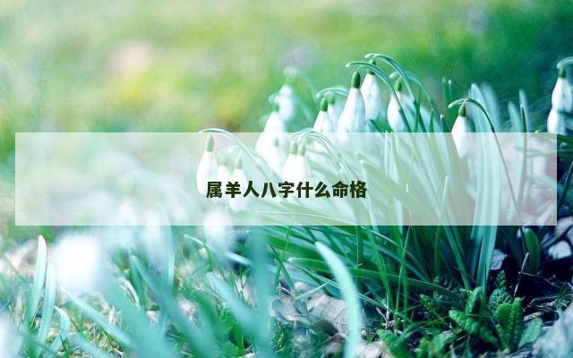 属羊人八字什么命格