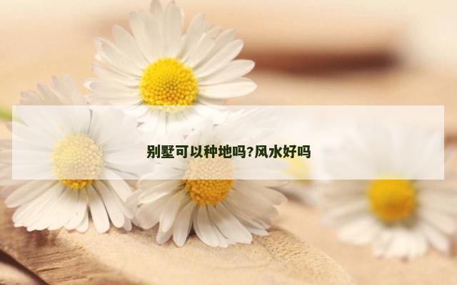 别墅可以种地吗?风水好吗