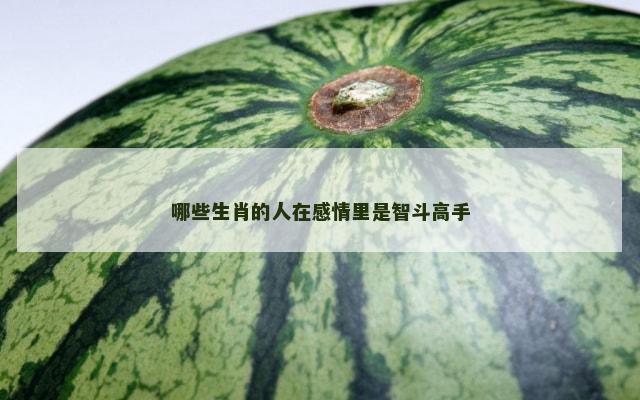 哪些生肖的人在感情里是智斗高手