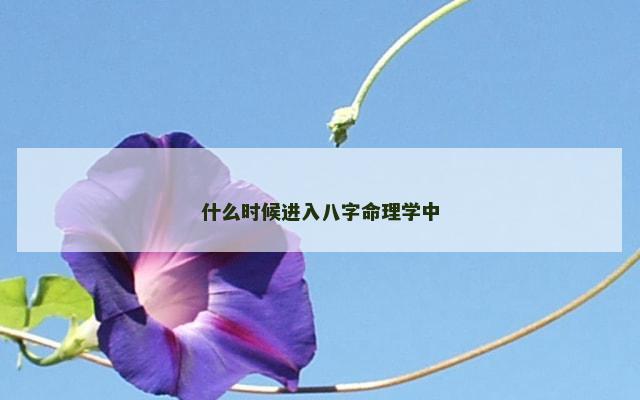 什么时候进入八字命理学中