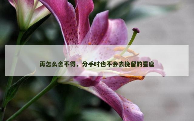 再怎么舍不得，分手时也不会去挽留的星座