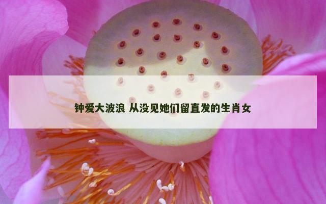 钟爱大波浪 从没见她们留直发的生肖女