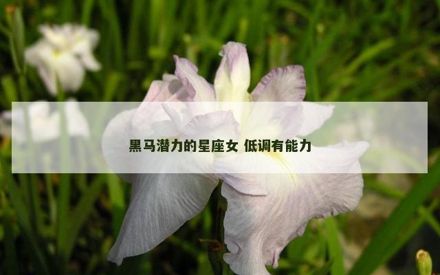 黑马潜力的星座女 低调有能力