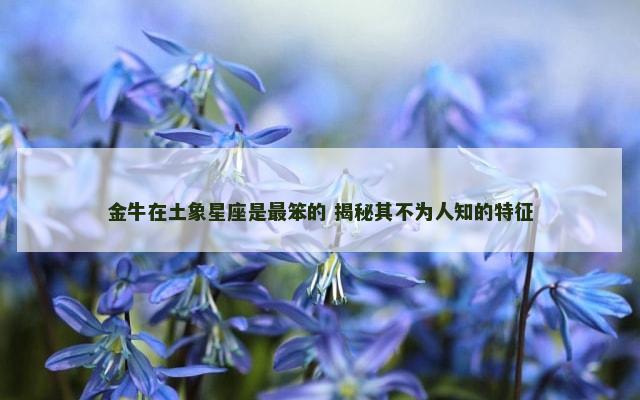 金牛在土象星座是最笨的 揭秘其不为人知的特征