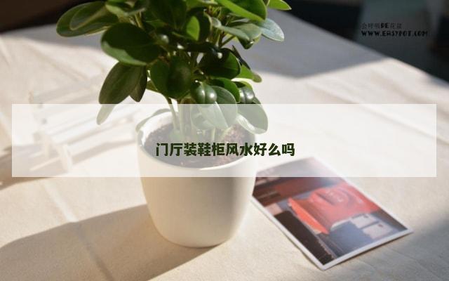 门厅装鞋柜风水好么吗