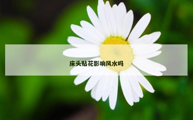 床头贴花影响风水吗