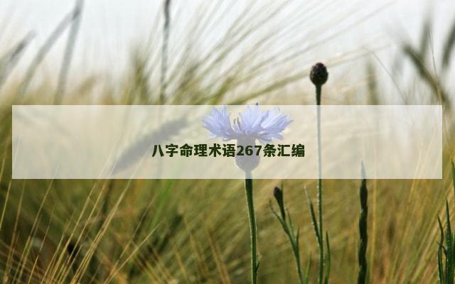 八字命理术语267条汇编