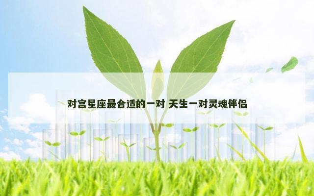 对宫星座最合适的一对 天生一对灵魂伴侣