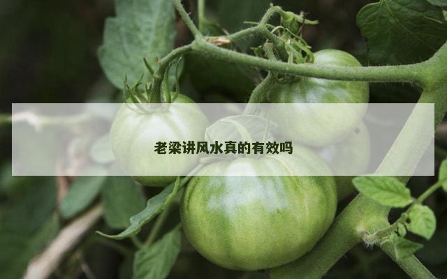 老梁讲风水真的有效吗