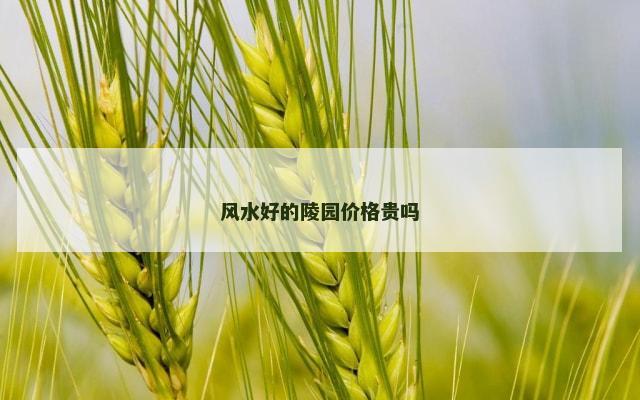 风水好的陵园价格贵吗