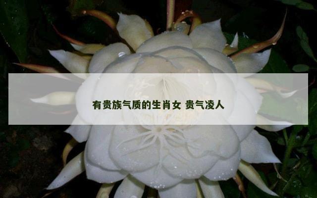 有贵族气质的生肖女 贵气凌人