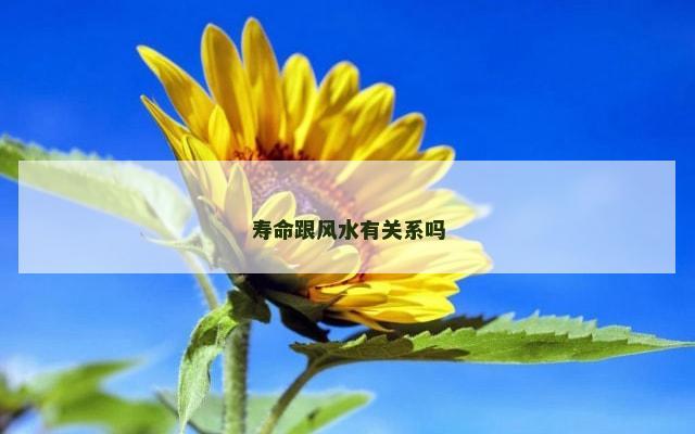 寿命跟风水有关系吗