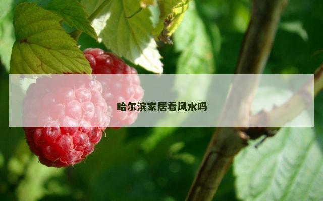 哈尔滨家居看风水吗