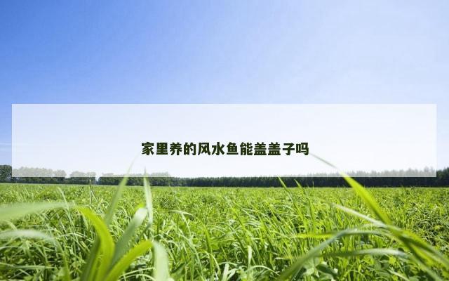 家里养的风水鱼能盖盖子吗