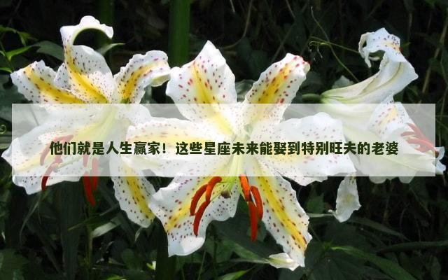 他们就是人生赢家！这些星座未来能娶到特别旺夫的老婆