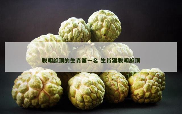 聪明绝顶的生肖第一名 生肖猴聪明绝顶