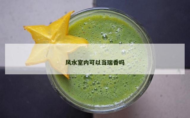 风水室内可以当瑞香吗