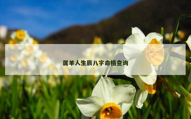 属羊人生辰八字命格查询