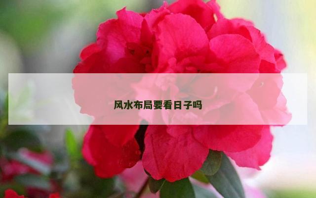 风水布局要看日子吗
