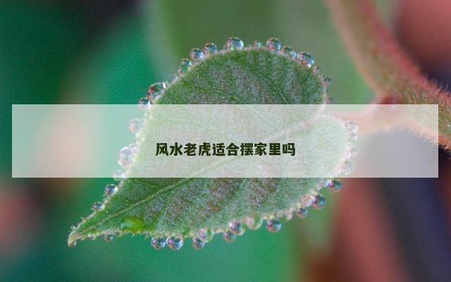 风水老虎适合摆家里吗