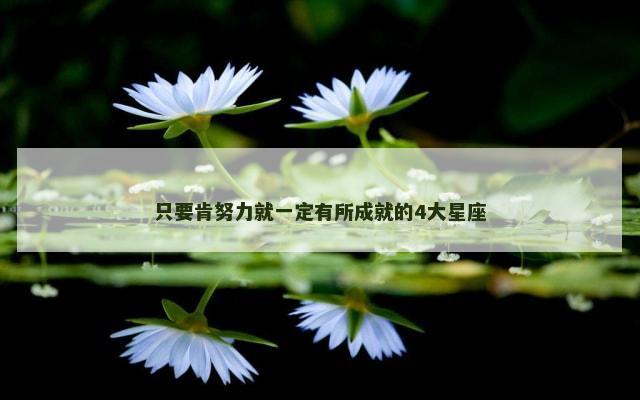 只要肯努力就一定有所成就的4大星座