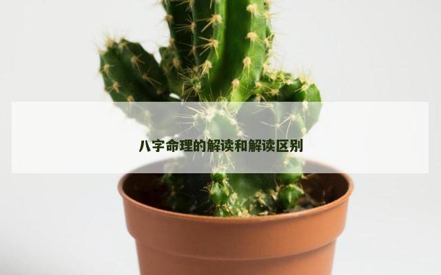 八字命理的解读和解读区别
