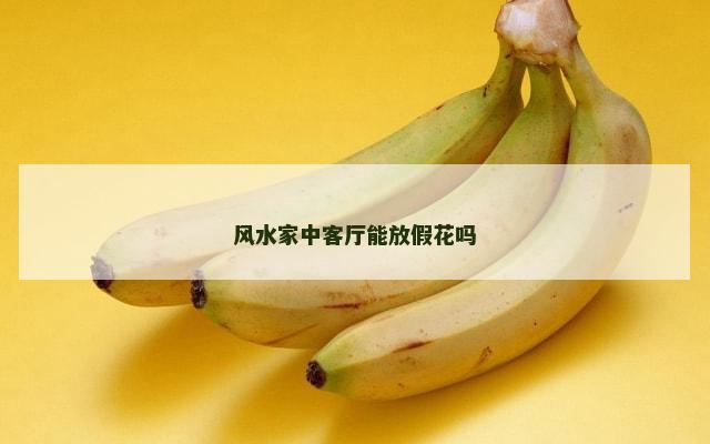 风水家中客厅能放假花吗