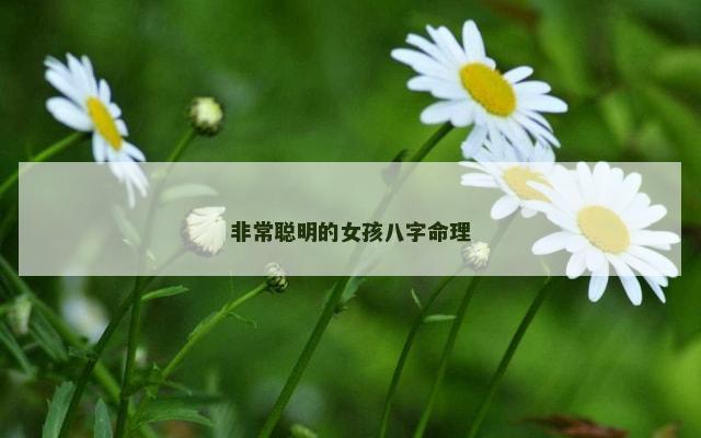 非常聪明的女孩八字命理