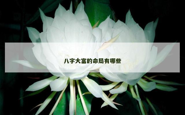 八字大富的命局有哪些