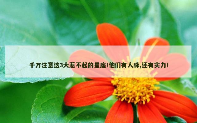 千万注意这3大惹不起的星座!他们有人脉,还有实力!