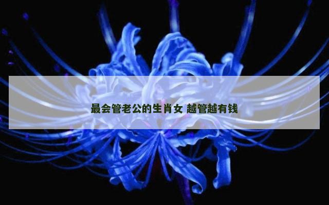 最会管老公的生肖女 越管越有钱