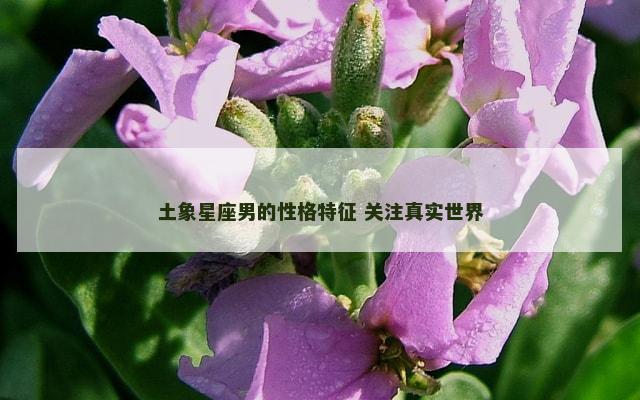 土象星座男的性格特征 关注真实世界