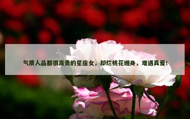 气质人品都很高贵的星座女，却烂桃花缠身，难遇真爱！