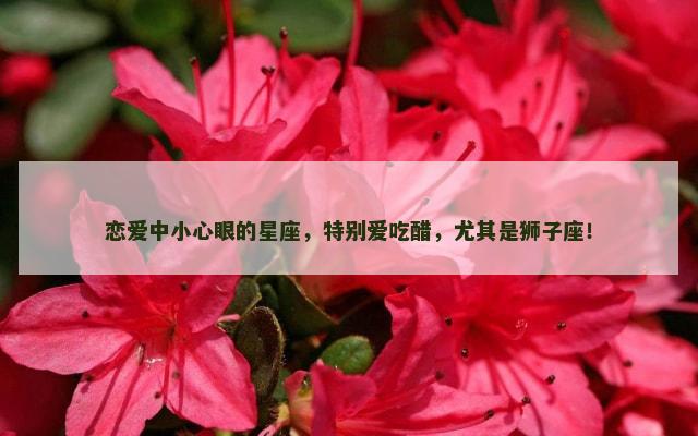恋爱中小心眼的星座，特别爱吃醋，尤其是狮子座！