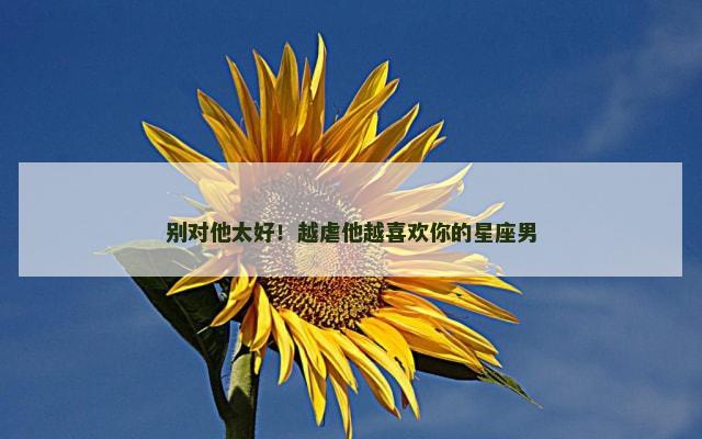 别对他太好！越虐他越喜欢你的星座男
