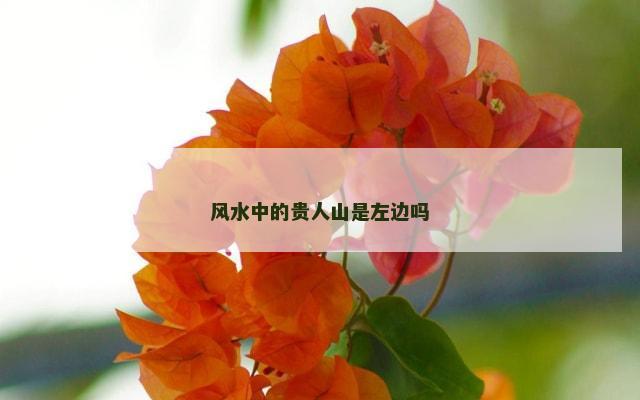 风水中的贵人山是左边吗