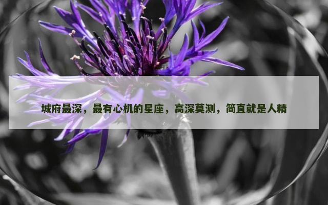 城府最深，最有心机的星座，高深莫测，简直就是人精