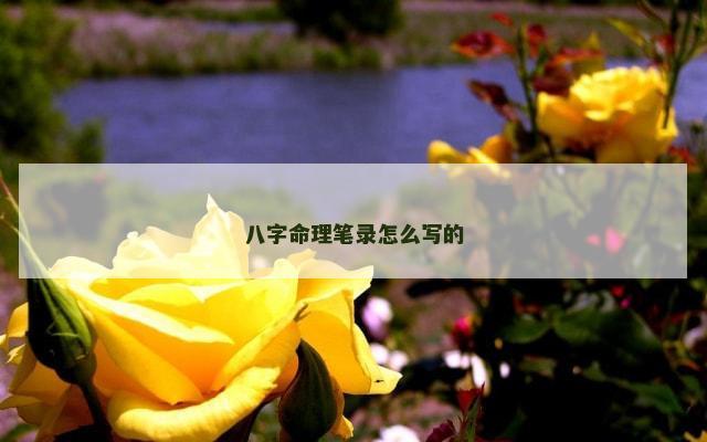 八字命理笔录怎么写的