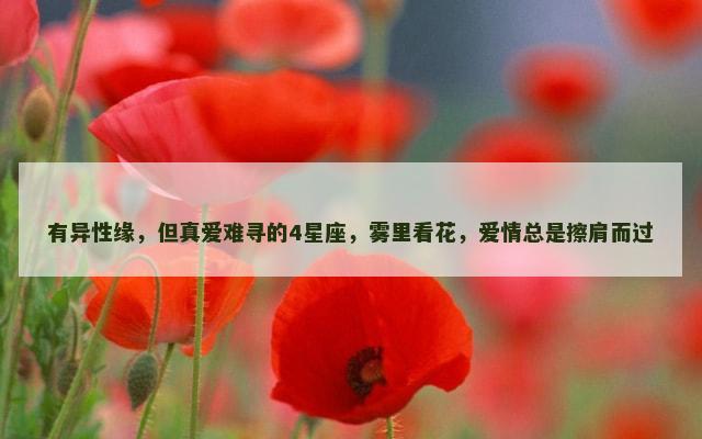 有异性缘，但真爱难寻的4星座，雾里看花，爱情总是擦肩而过