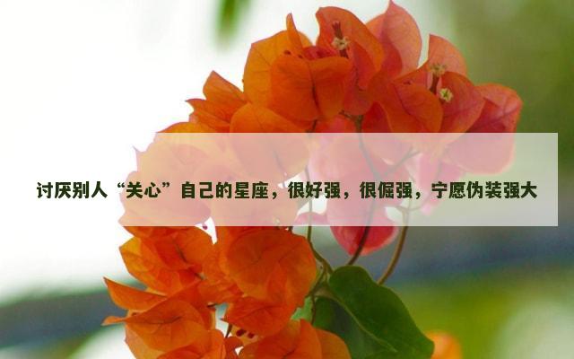 讨厌别人“关心”自己的星座，很好强，很倔强，宁愿伪装强大
