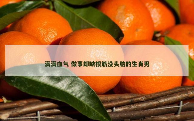 满满血气 做事却缺根筋没头脑的生肖男