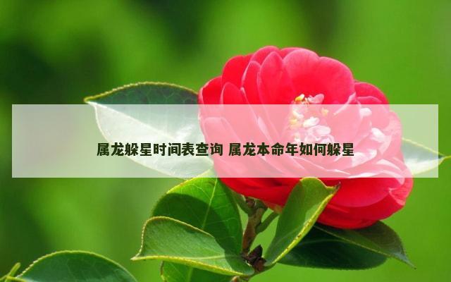 属龙躲星时间表查询 属龙本命年如何躲星