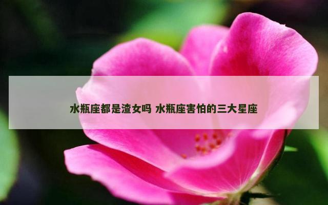 水瓶座都是渣女吗 水瓶座害怕的三大星座