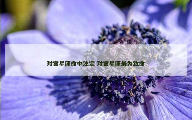 对宫星座命中注定 对宫星座最为致命