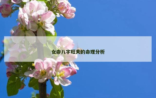 女命八字旺夫的命理分析