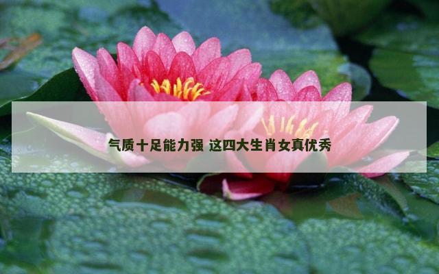 气质十足能力强 这四大生肖女真优秀