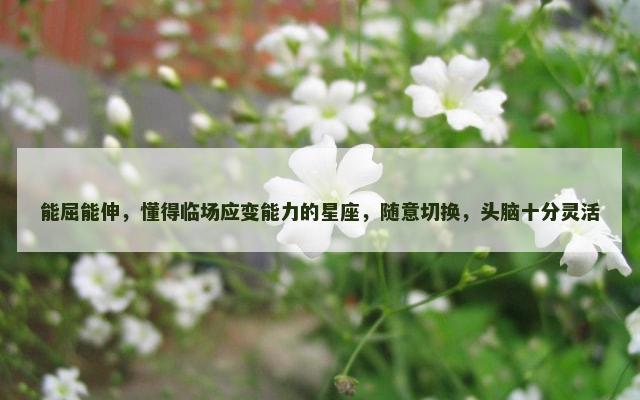 能屈能伸，懂得临场应变能力的星座，随意切换，头脑十分灵活