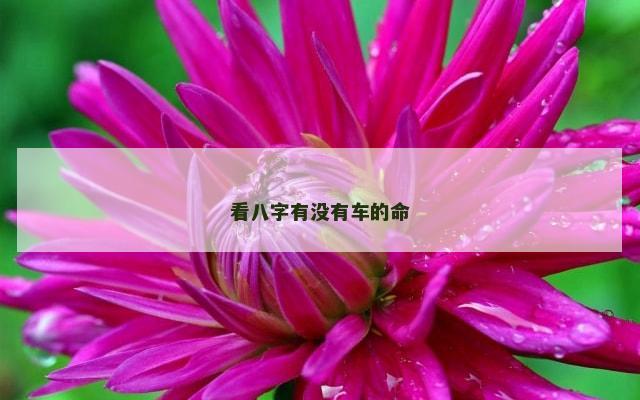 看八字有没有车的命