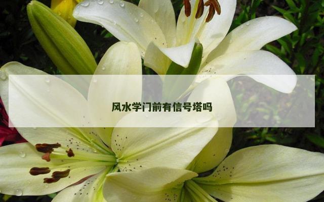 风水学门前有信号塔吗